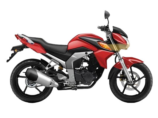 racermotors.by - Racer RC300CK-N Fighter