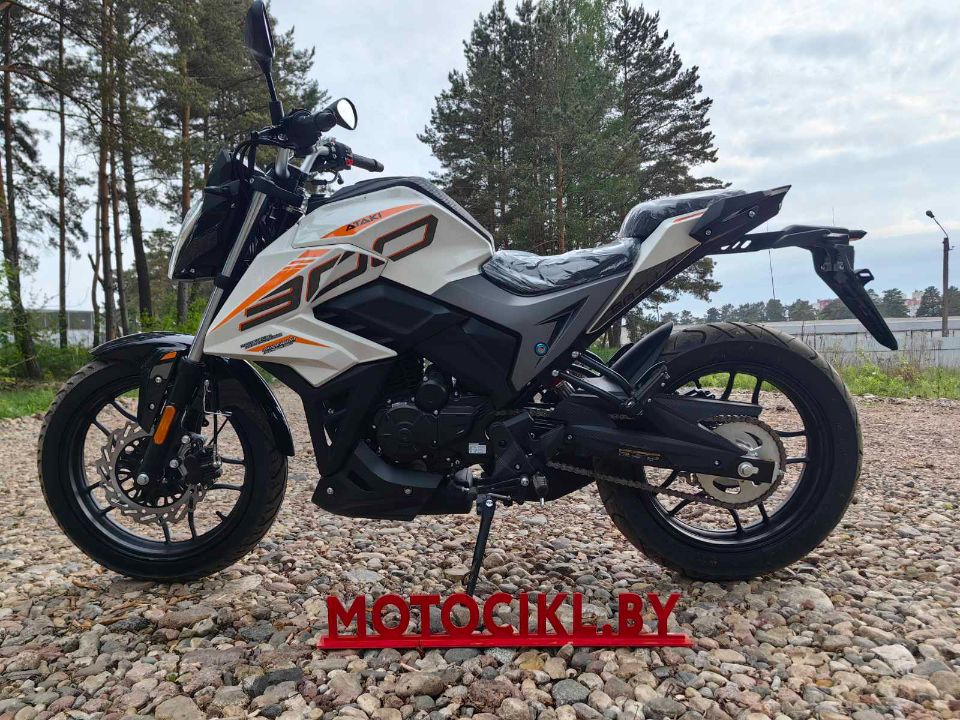 racermotors.by - Мотоцикл ATAKI Batllo (4T PR300 Pro) 17/17