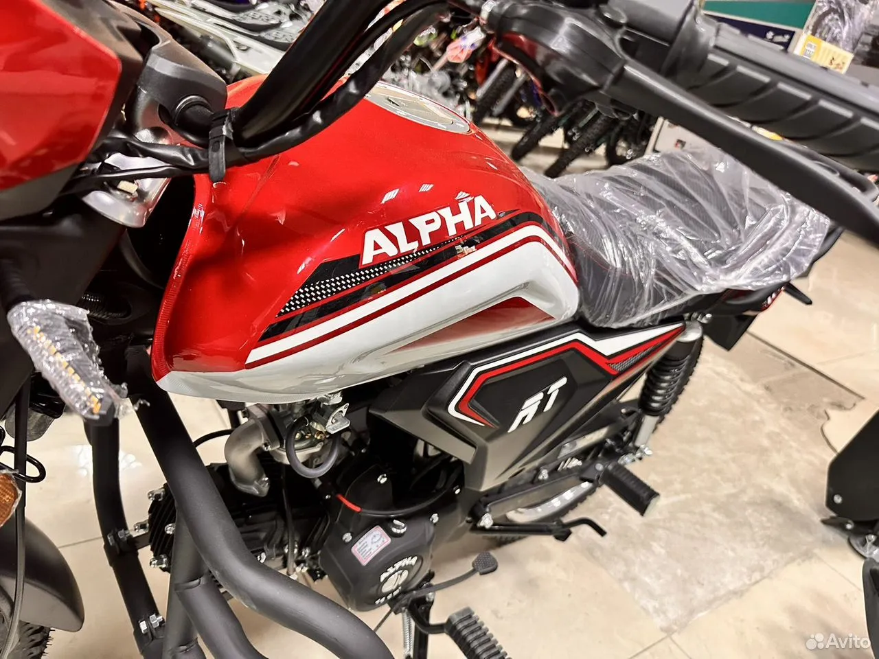 мопед.бел - Мопед Motoland Alpha RT 11