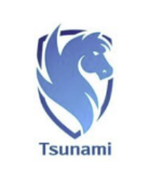 Tsunami