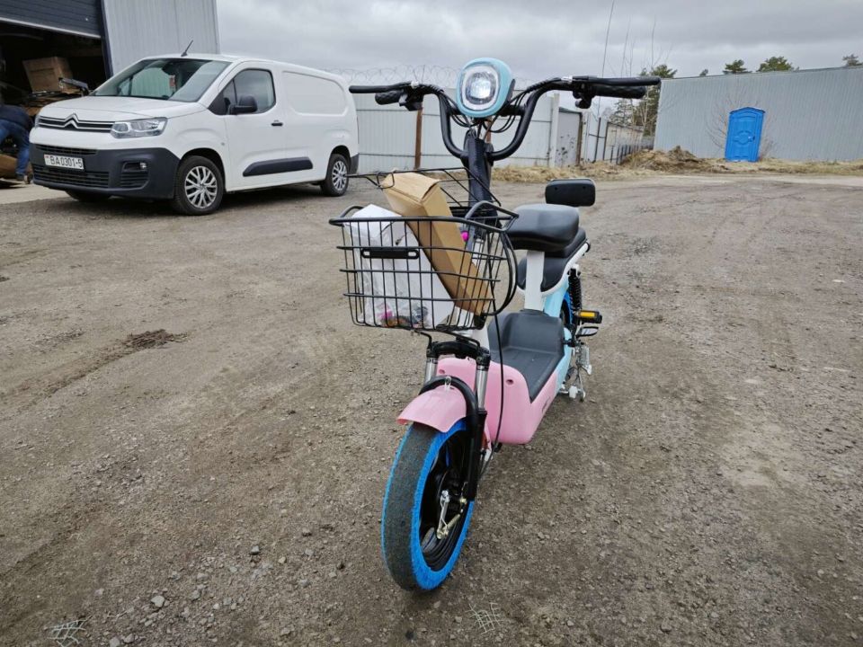 Электроскутер Citycoco E1 RUN SPORT