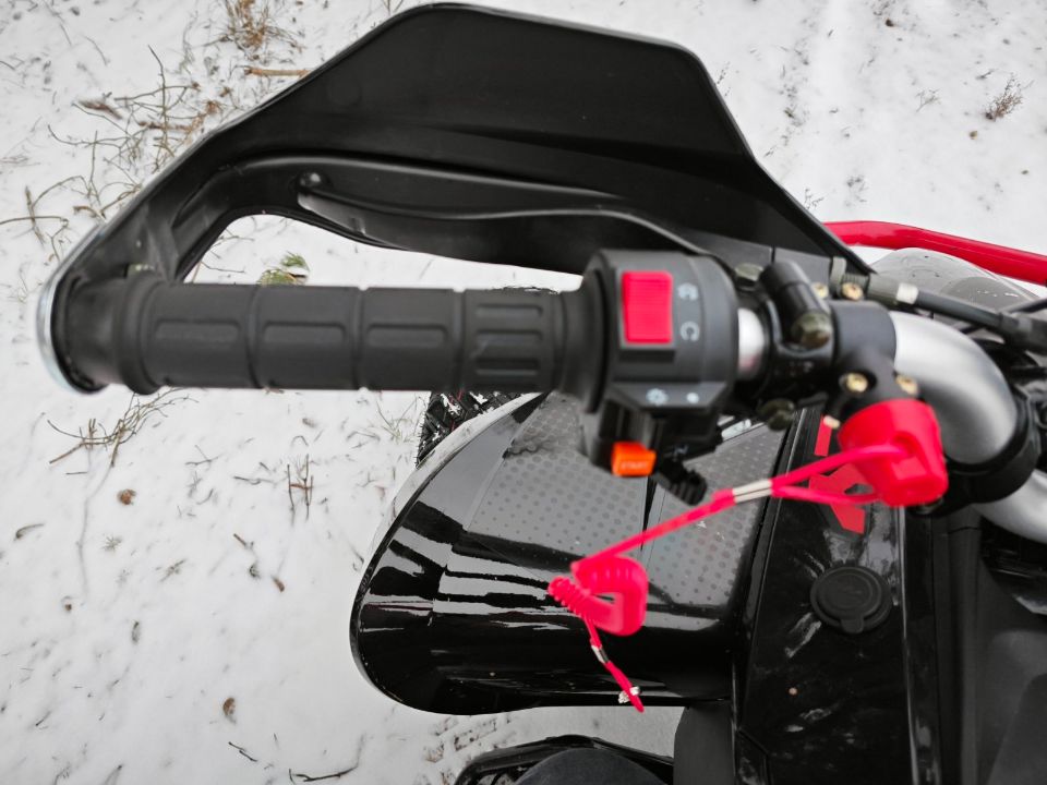 racermotors.by - Квадроцикл Motoland VOX250 RALLY