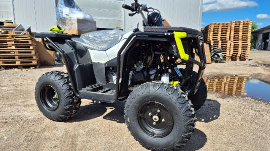 racermotors.by - Технологическое превосходство и комфорт Квадроцикл RAM 250X