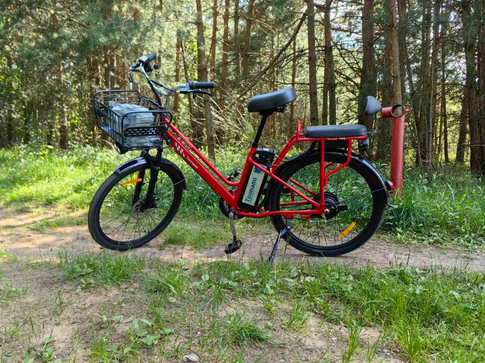 racermotors.by - Электровелосипед Tsunami Dacha 500W