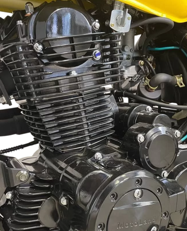 racermotors.by - Особенности и преимущества V-RAPTOR 250
