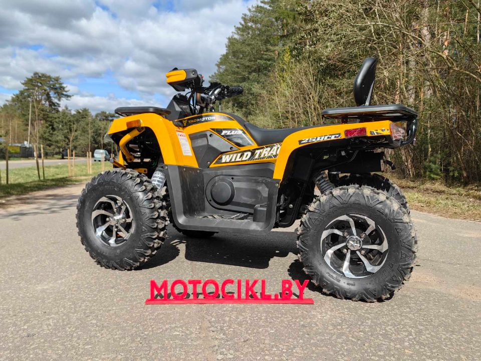 racermotors.by - Квадроцикл Motoland VOX250 WILD TRACK X PLUS