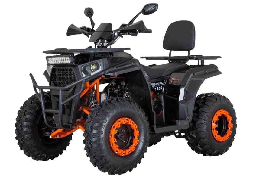 racermotors.by - Квадроцикл Minsk Dzik 200 с ПСМ