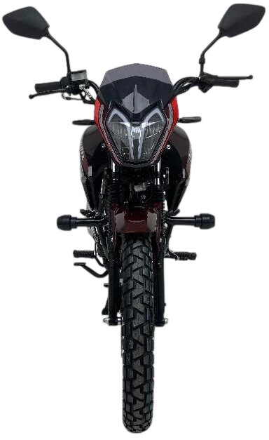 racermotors.by - Силовой агрегат, трансмиссия и параметры ходовой части ROLIZ Альфа VERTIGO XL