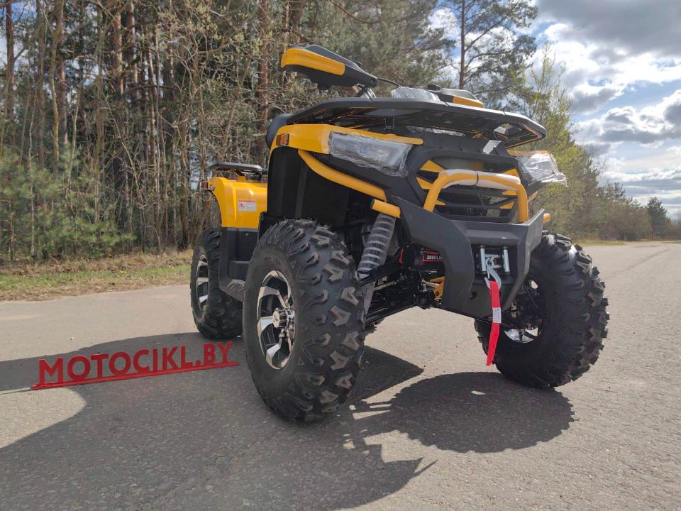 racermotors.by - Квадроцикл Motoland VOX250 WILD TRACK X PLUS