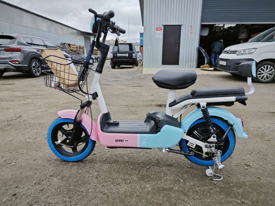 Электроскутер Citycoco E1 RUN SPORT