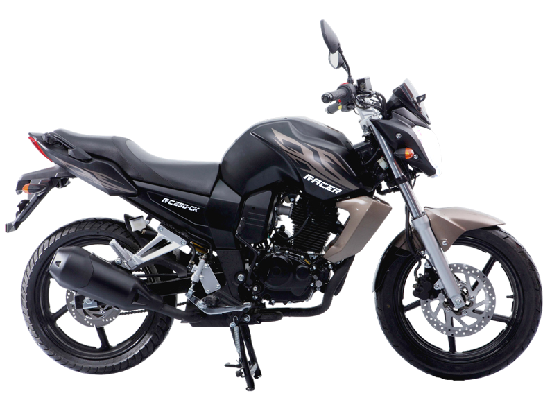 racermotors.by - Мотоцикл Racer RC250-CK Nitro