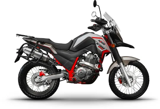 motovelozavod.by - Мотоцикл MINSK Goose 400