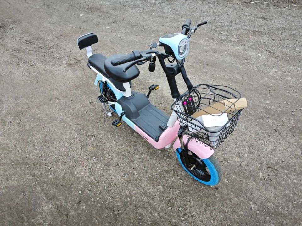 Электроскутер Citycoco E1 RUN SPORT