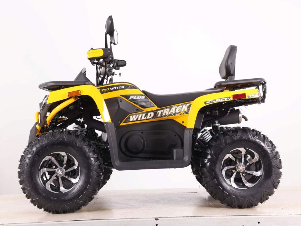 racermotors.by - Квадроцикл Motoland VOX250 WILD TRACK X PLUS