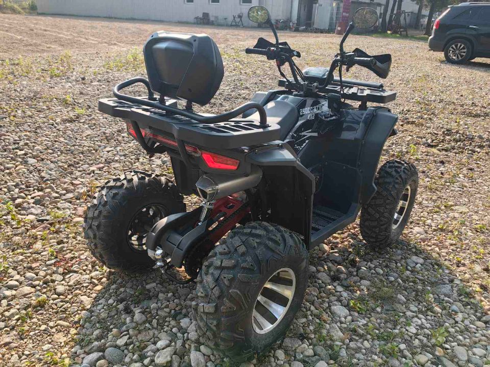 racermotors.by - Квадроцикл RAM ATV FX250