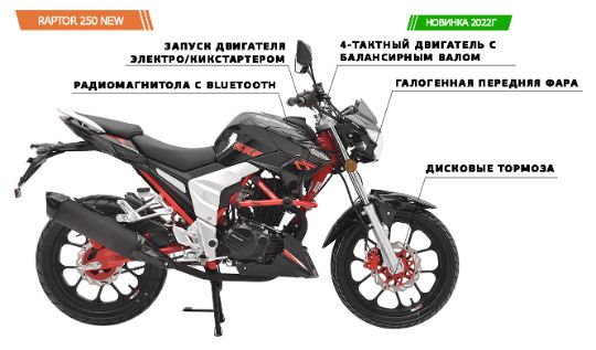 racermotors.by - REGULMOTO RAPTOR 250 NEW (250СМ3, 19ЛС)