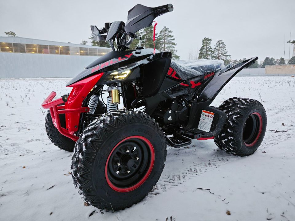 racermotors.by - Квадроцикл Motoland VOX250 RALLY