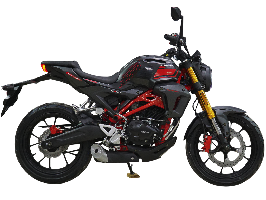 racermotors.by - Мотоцикл Motoland 501 (172FMM-5/PR250)