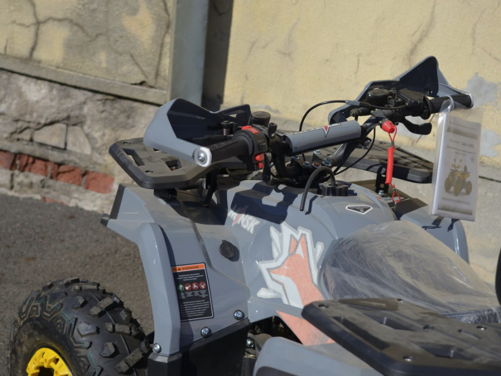 racermotors.by - Квадроцикл детский Минск Lis 125