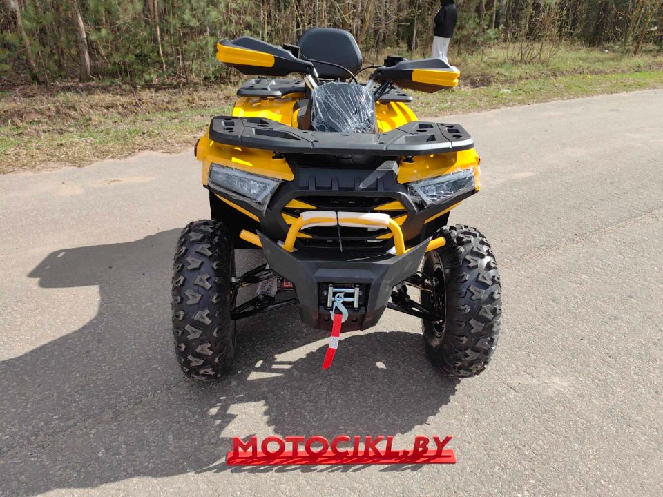 racermotors.by - Квадроцикл Motoland VOX250 WILD TRACK X PLUS