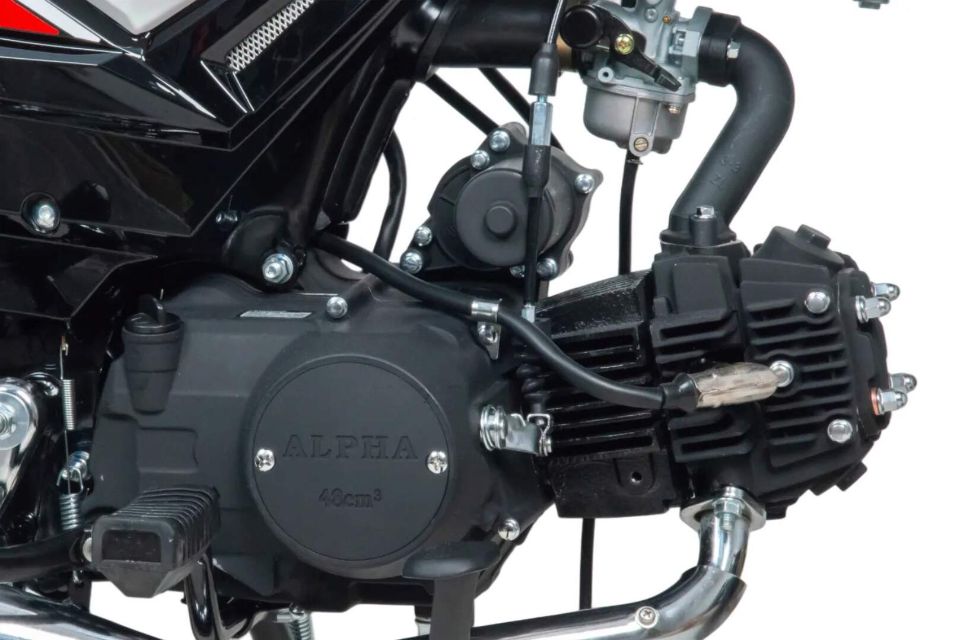 racermotors.by - Мопед Motoland Альфа VG 11