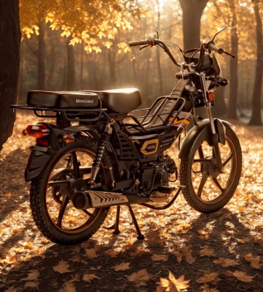 racermotors.by - Мопед Motoland Дельта