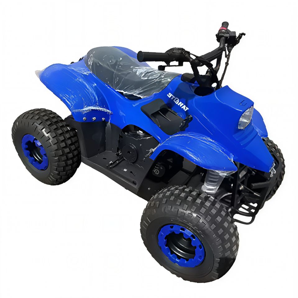 racermotors.by - Квадроцикл детский Storm Robo 110