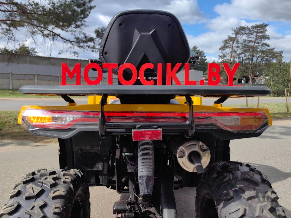 racermotors.by - Квадроцикл Motoland VOX250 WILD TRACK X PLUS