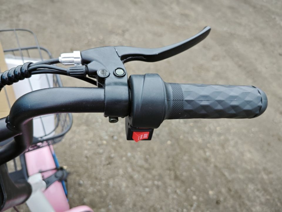 Электроскутер Citycoco E1 RUN SPORT