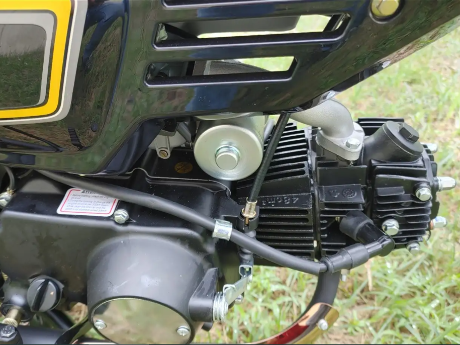 racermotors.by - Мопед Motoland Дельта