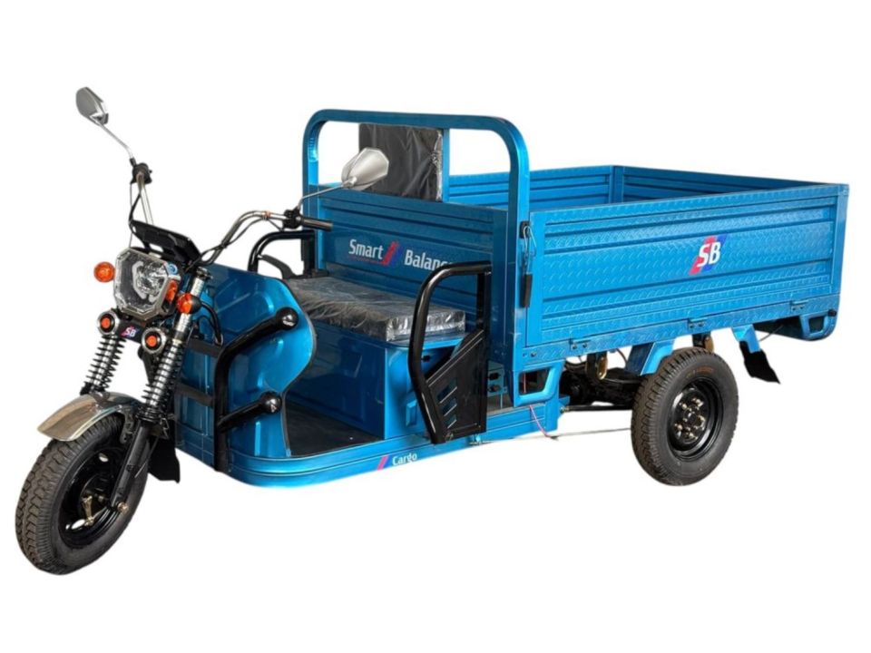 racermotors.by - Грузовой электротрицикл Smart Balance Cargo