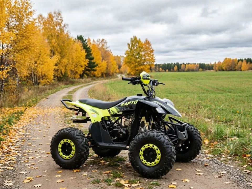 racermotors.by - Квадроцикл детский Motoland VOX125 RAPTOR