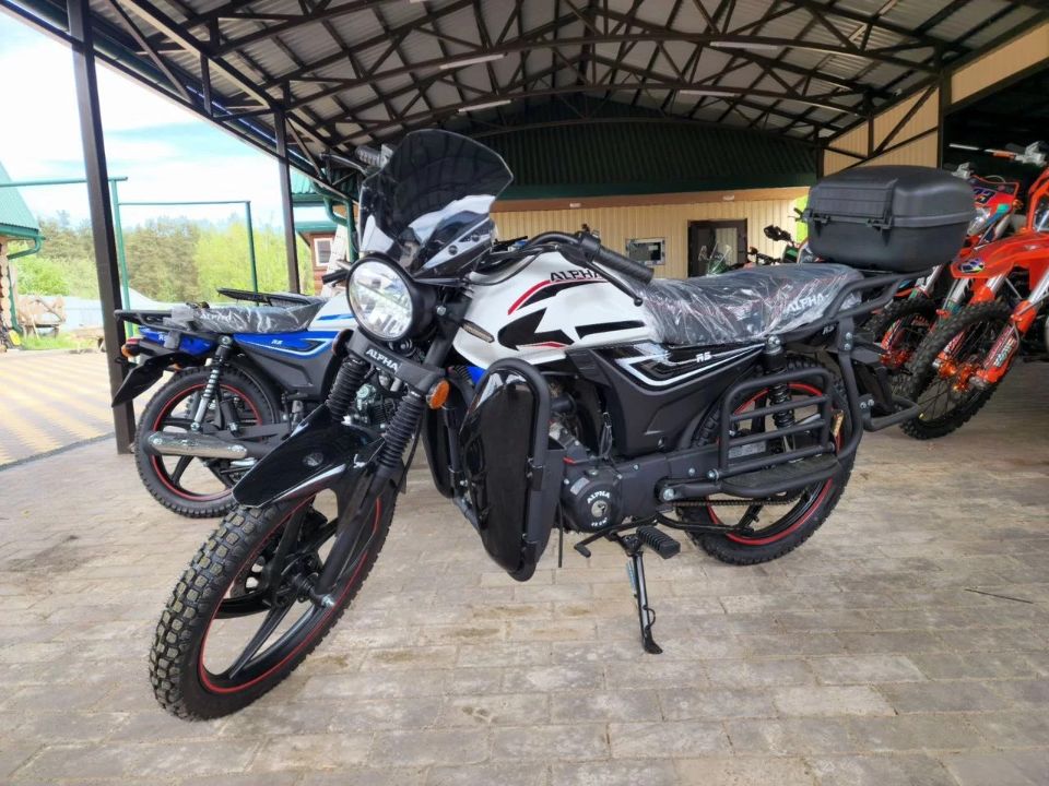 racermotors.by - Мопед Motoland Альфа RS 11 LUX