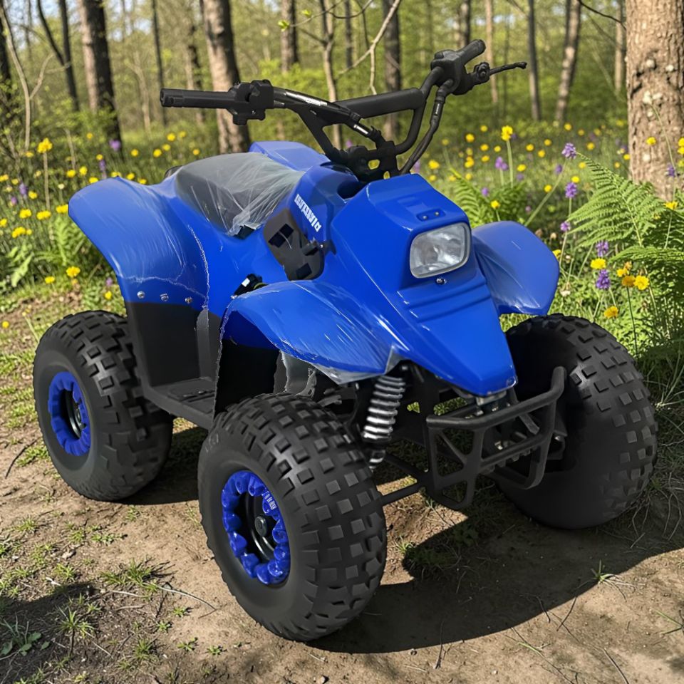 racermotors.by - Квадроцикл детский Storm Robo 110