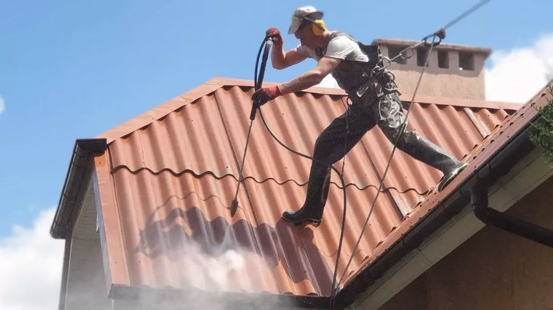 Рулонный газон