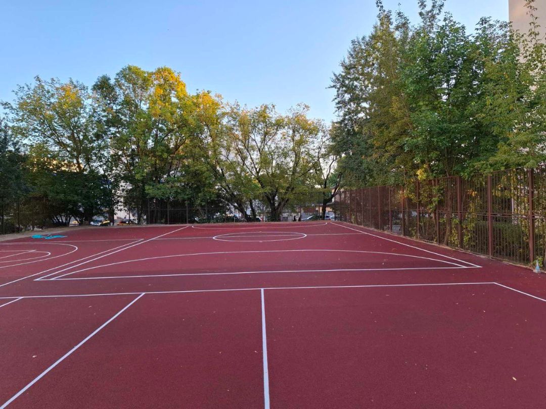 Посевной и рулонный газон