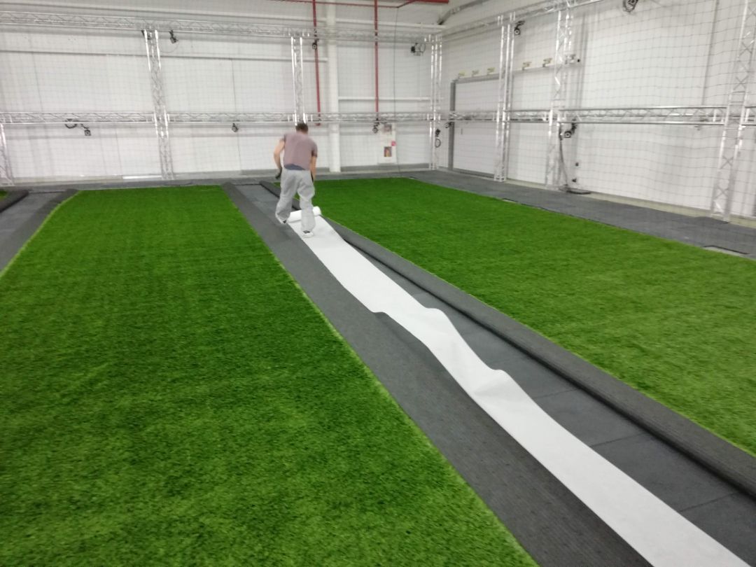 Посевной и рулонный газон