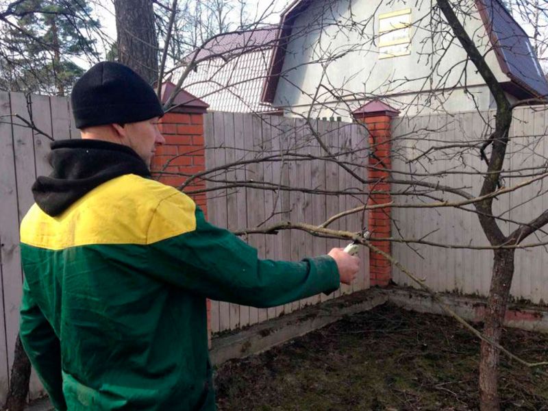 Рулонный газон Минск