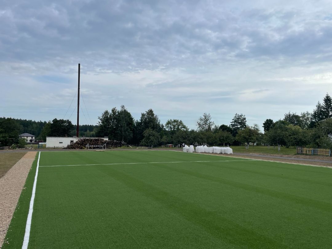 Посевной и рулонный газон