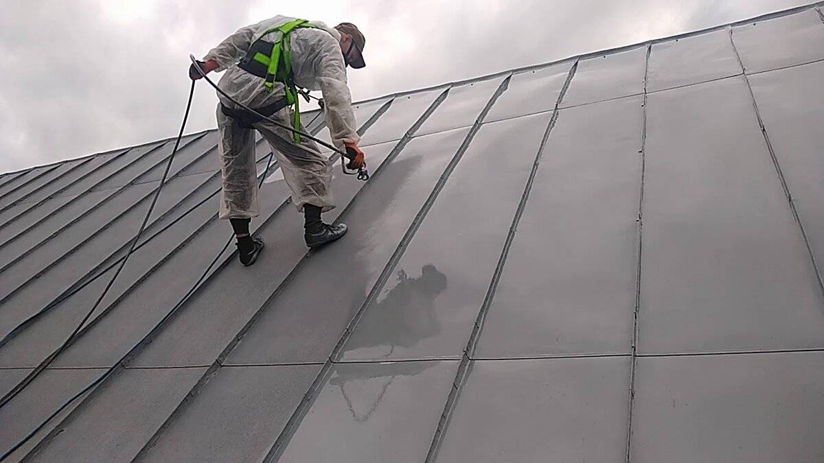 Рулонный газон цена