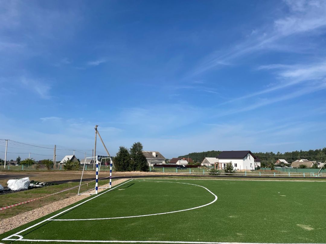 Рулонный газон купить в Минске