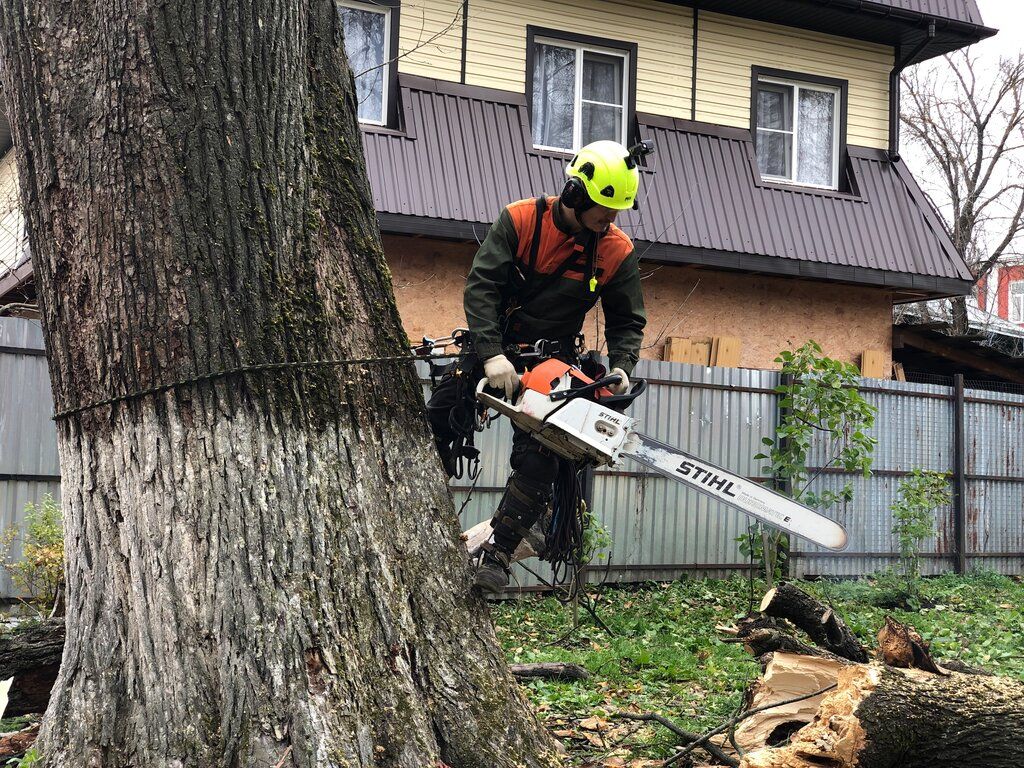 Посевной газон