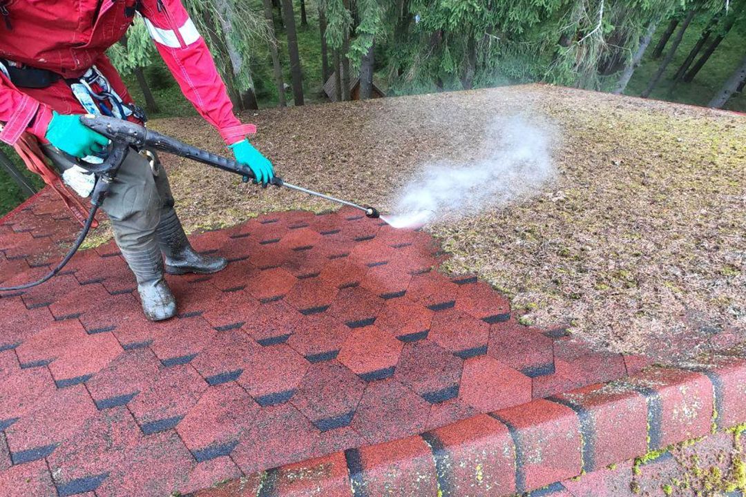 Посевной газон