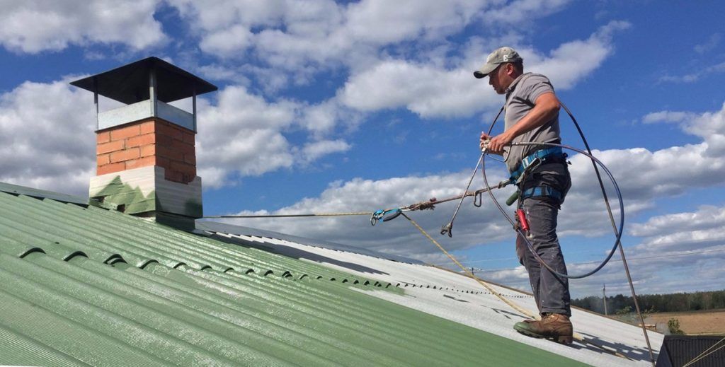 Посевной и рулонный газон