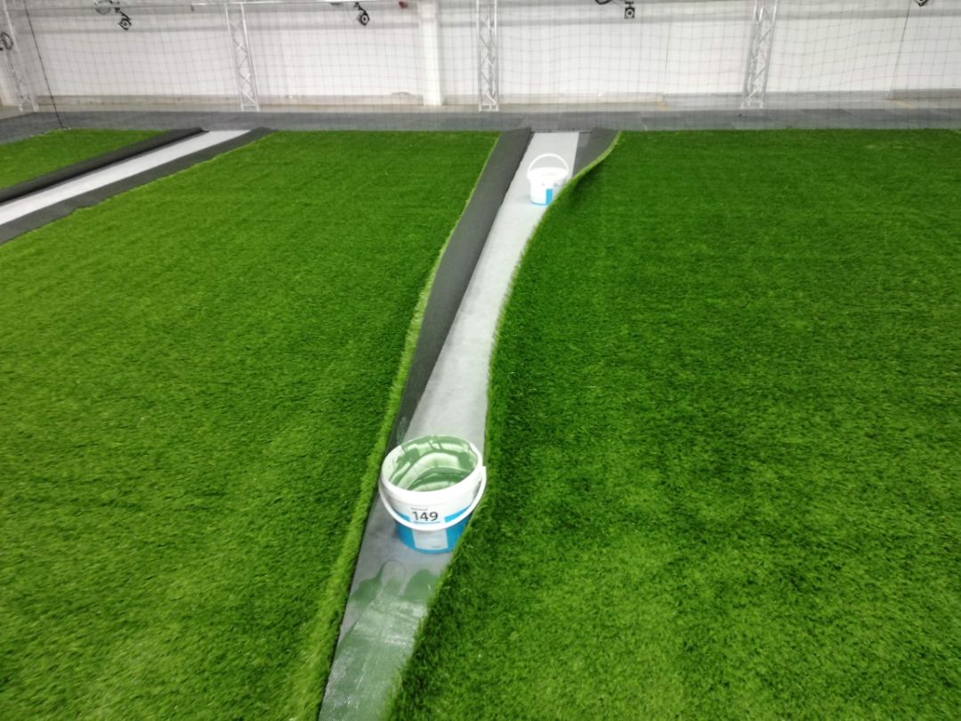 Рулонный газон купить в Минске