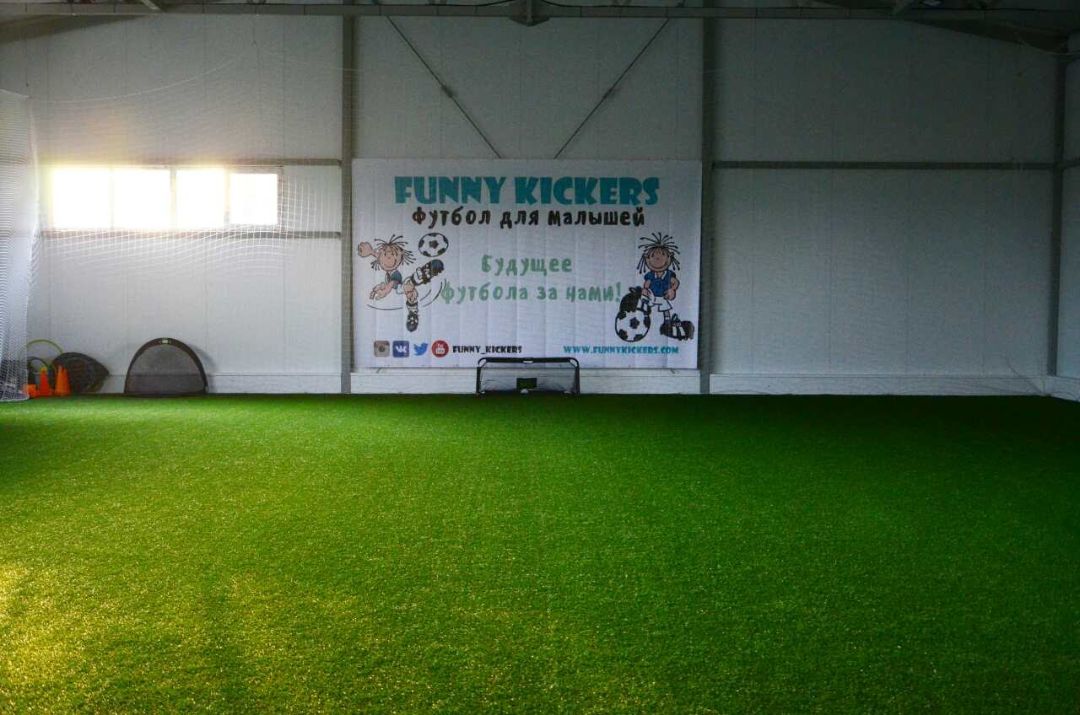 Рулонный газон цена