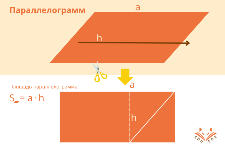 Площадь параллелограмма. Секрет репетитора по математике