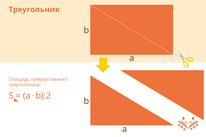 Площадь прямоугольного треугольника. Секрет репетитора по математике