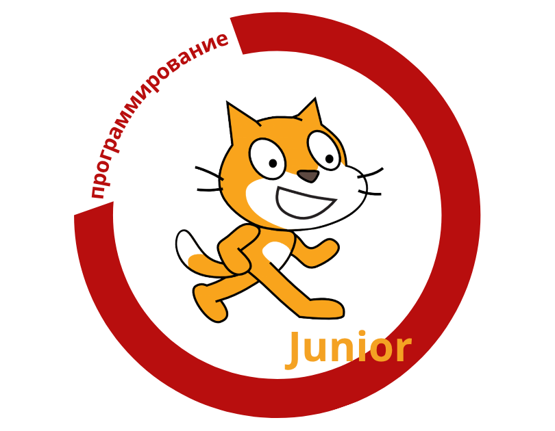 scratch_junior