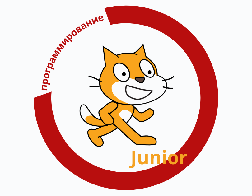 scratch junior